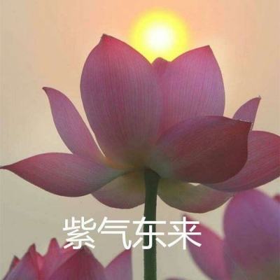星之破晓英雄大全助手下载